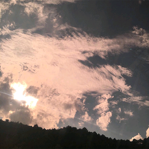 出租房嫖妓女打一炮
